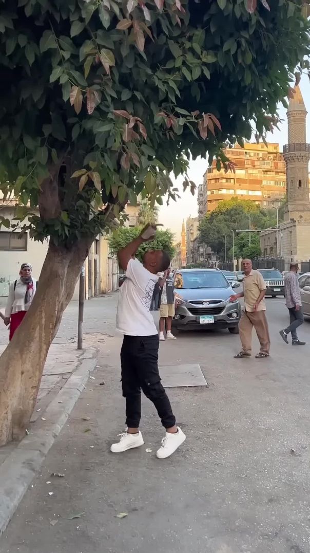 The Money Tree