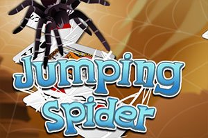 Jumping Spider