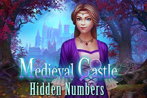 Medieval Castle Hidden Numbers